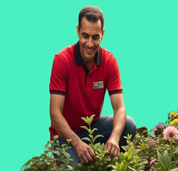 Landscaping Solutions