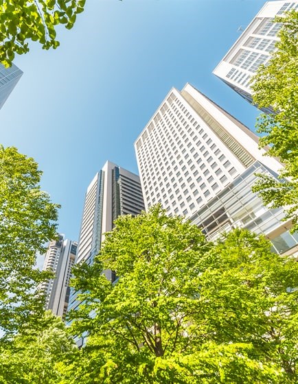 Our Vision and Mission